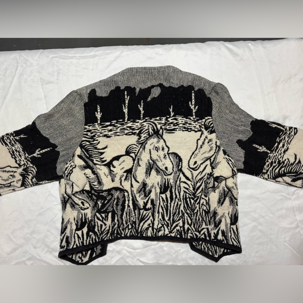 Southwest Canyon Horse Sweater - very cool